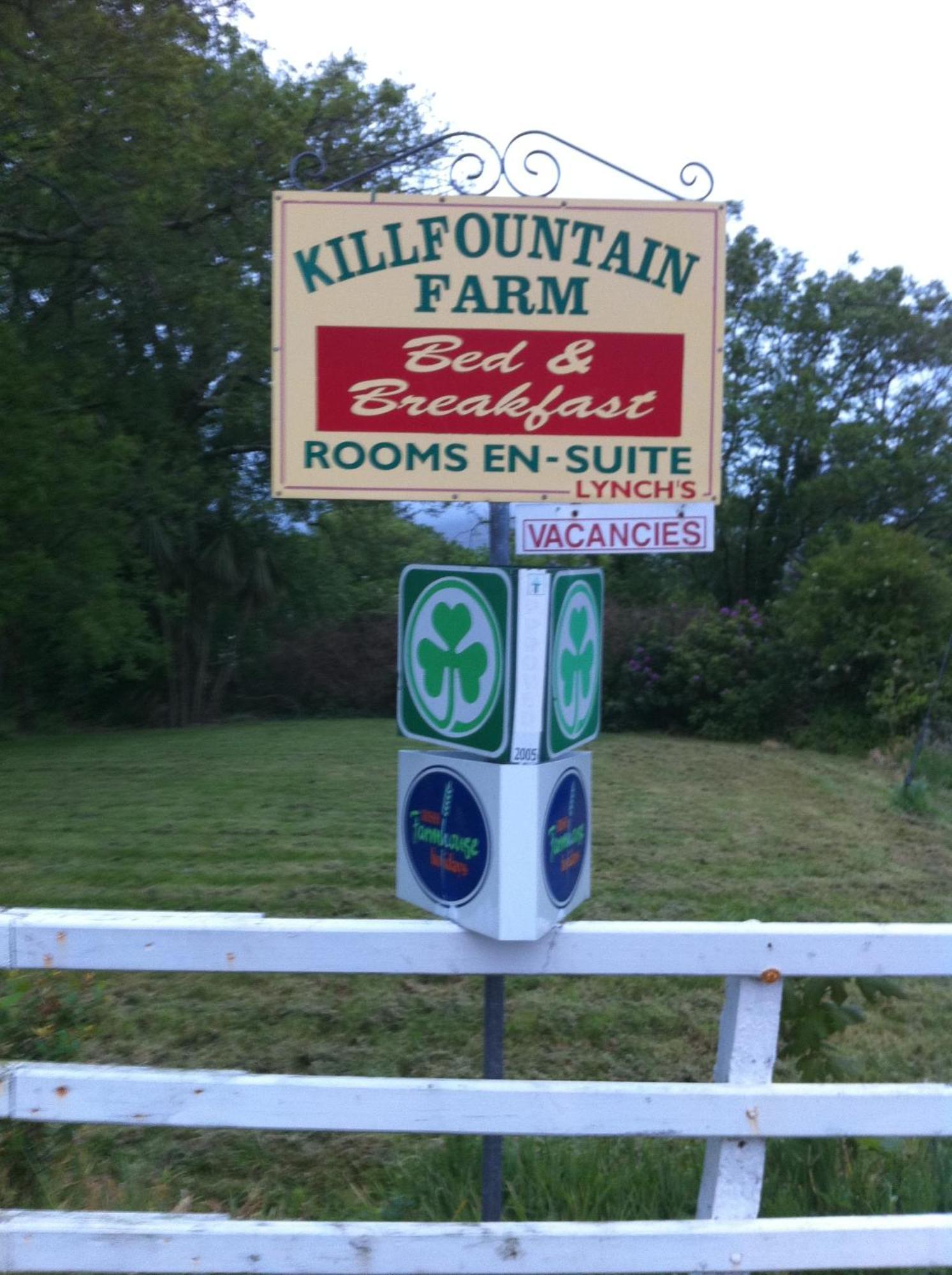 Killfountain Farm Βίλα Ντίνγκλε Εξωτερικό φωτογραφία